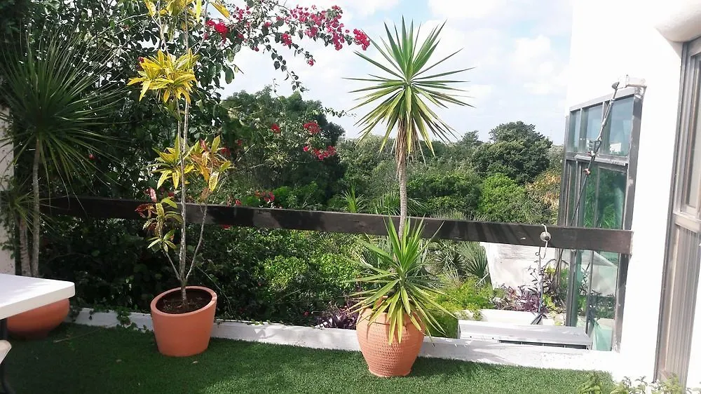 Casa La Selva Διαμέρισμα Κανκούν